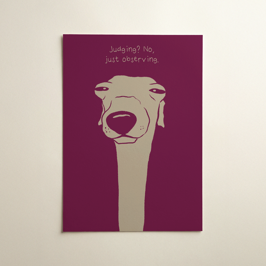 Observing Whippet art print (with text)