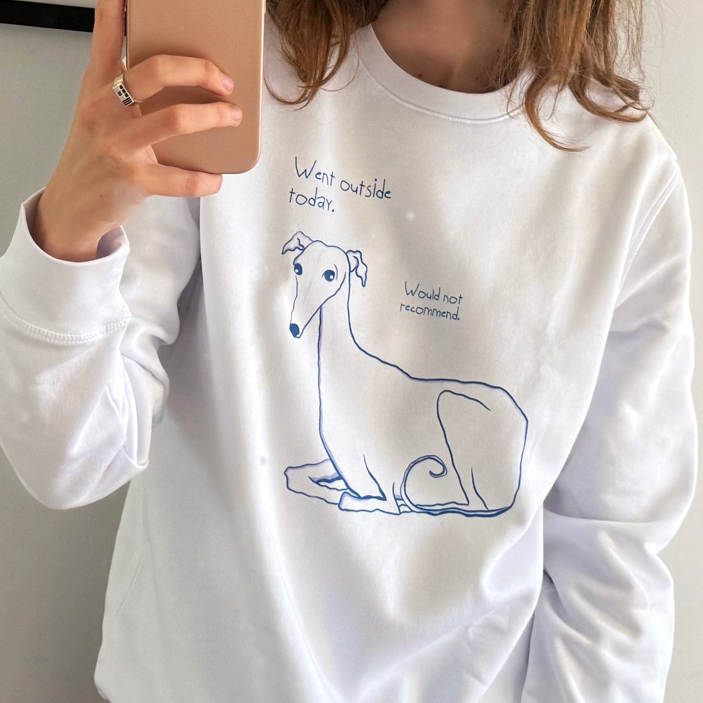 "Went outside today" sweatshirt white & grey