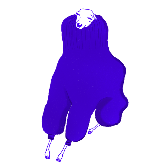 Cold Iggy Digital Download