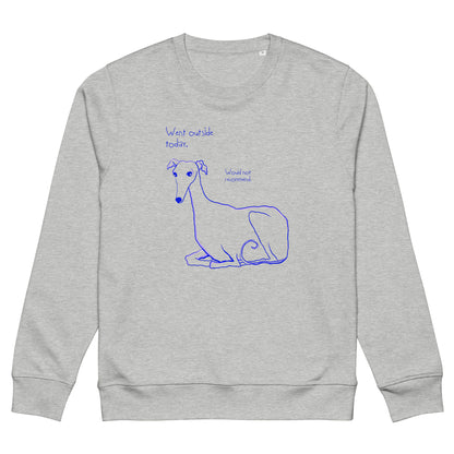 "Went outside today" sweatshirt white & grey