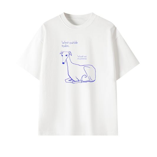 "Went outside today" tee